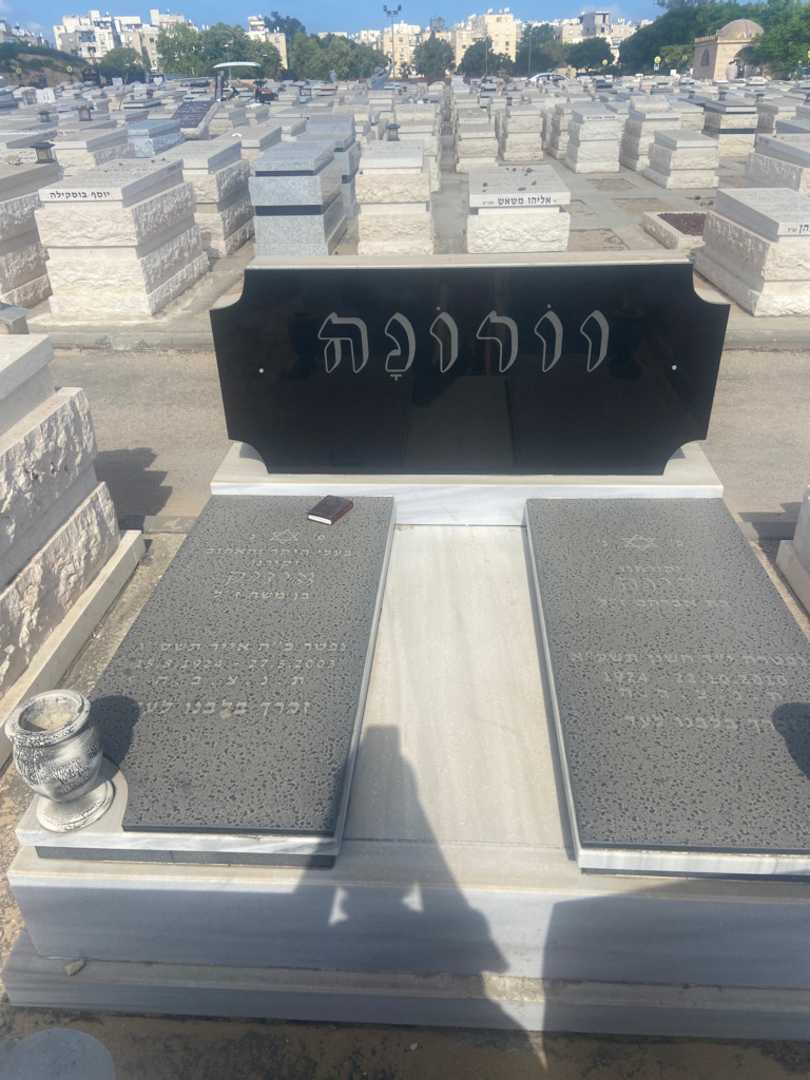 קברו של דינה וורונה. תמונה 1