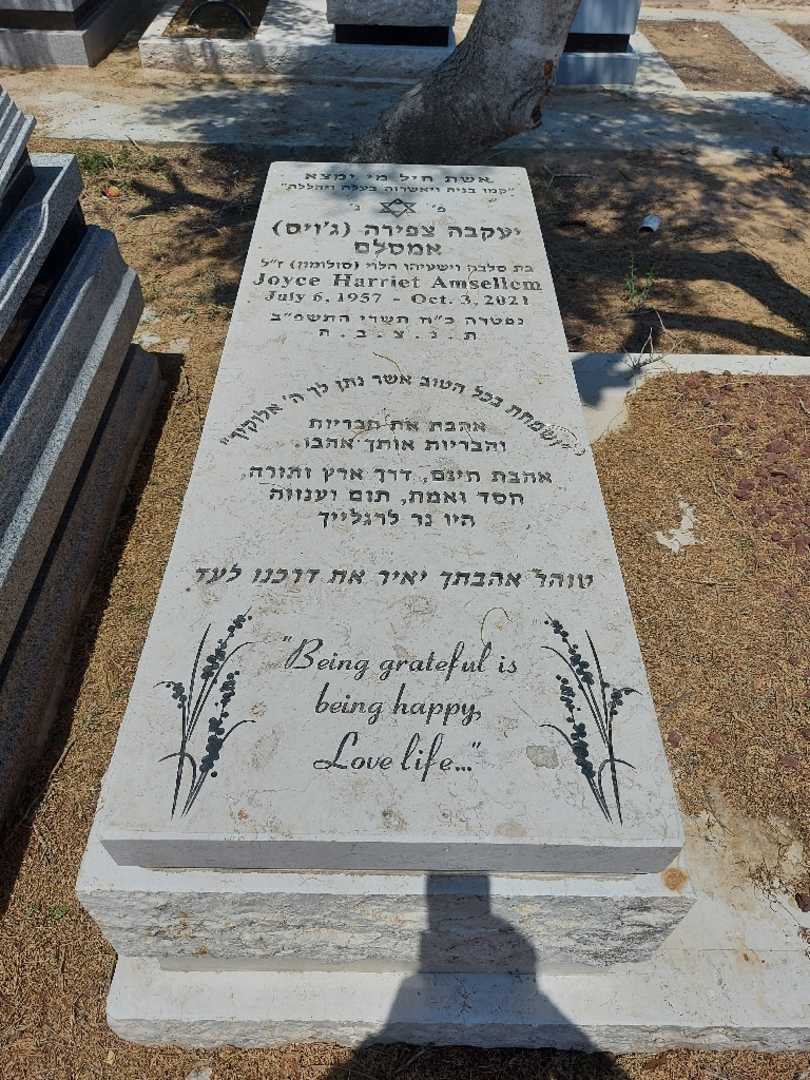 קברו של ג'ויס הרייט "ג'ויס" אמסלם. תמונה 1