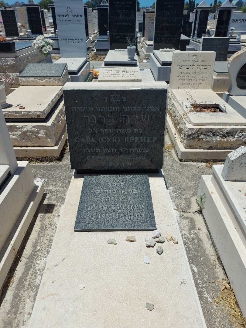 קברו של שרה ברנר. תמונה 1