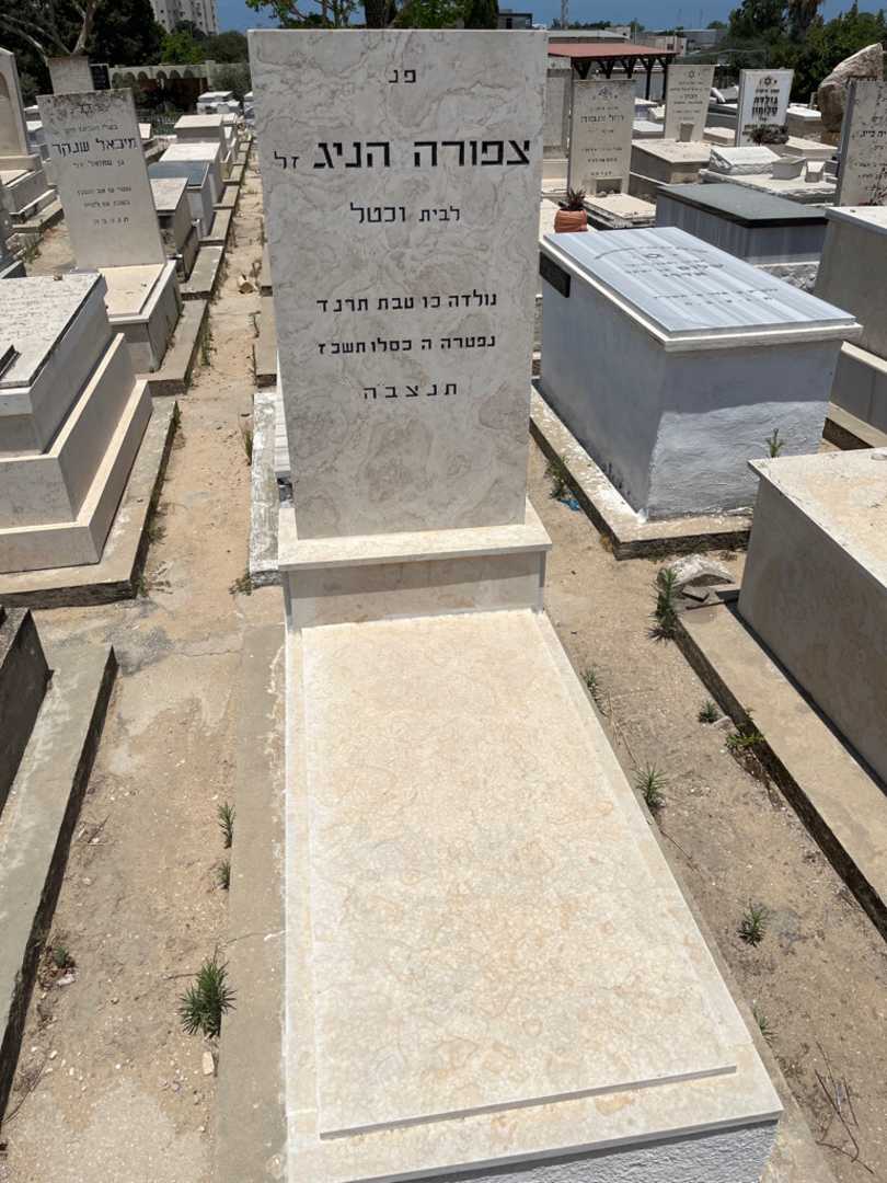 קברו של צפורה הניג. תמונה 1