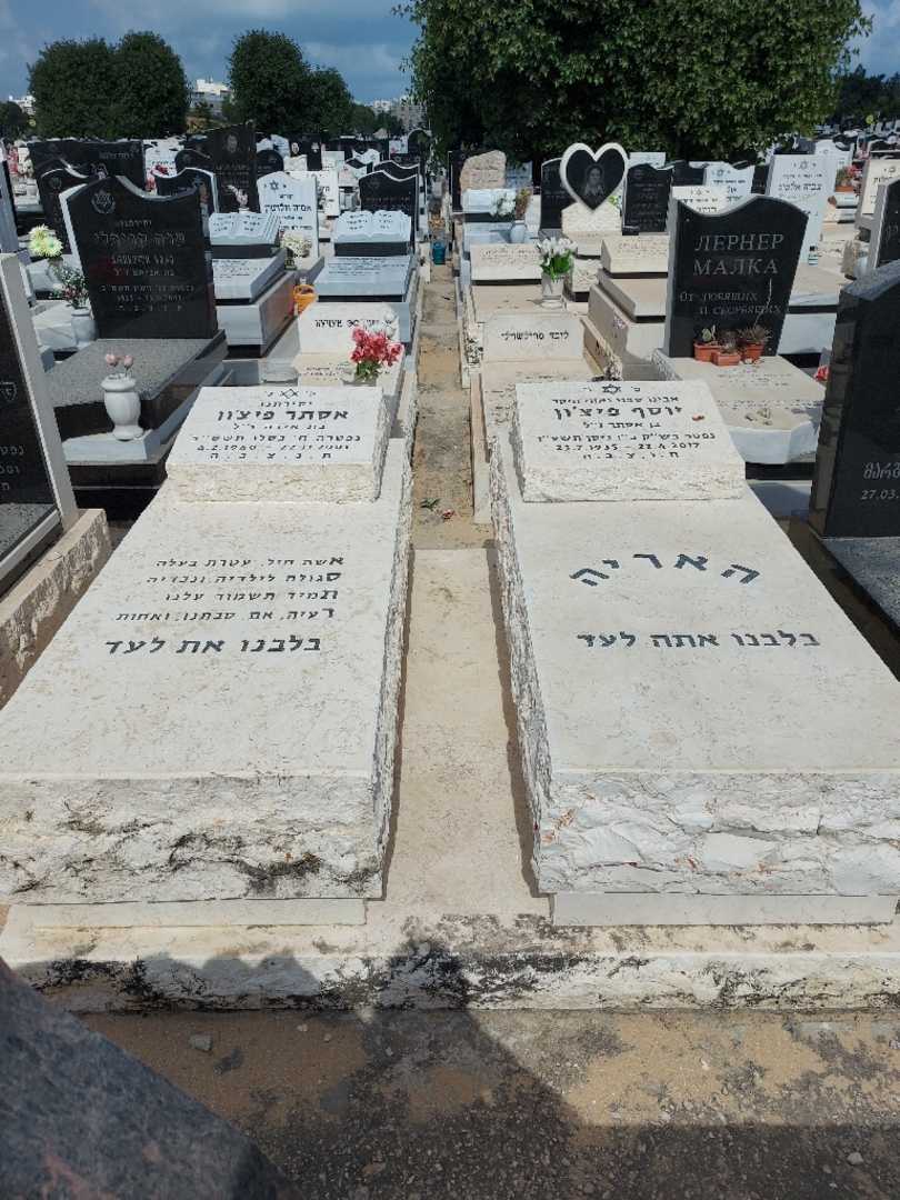 קברו של יוסף פיצ'ון. תמונה 2