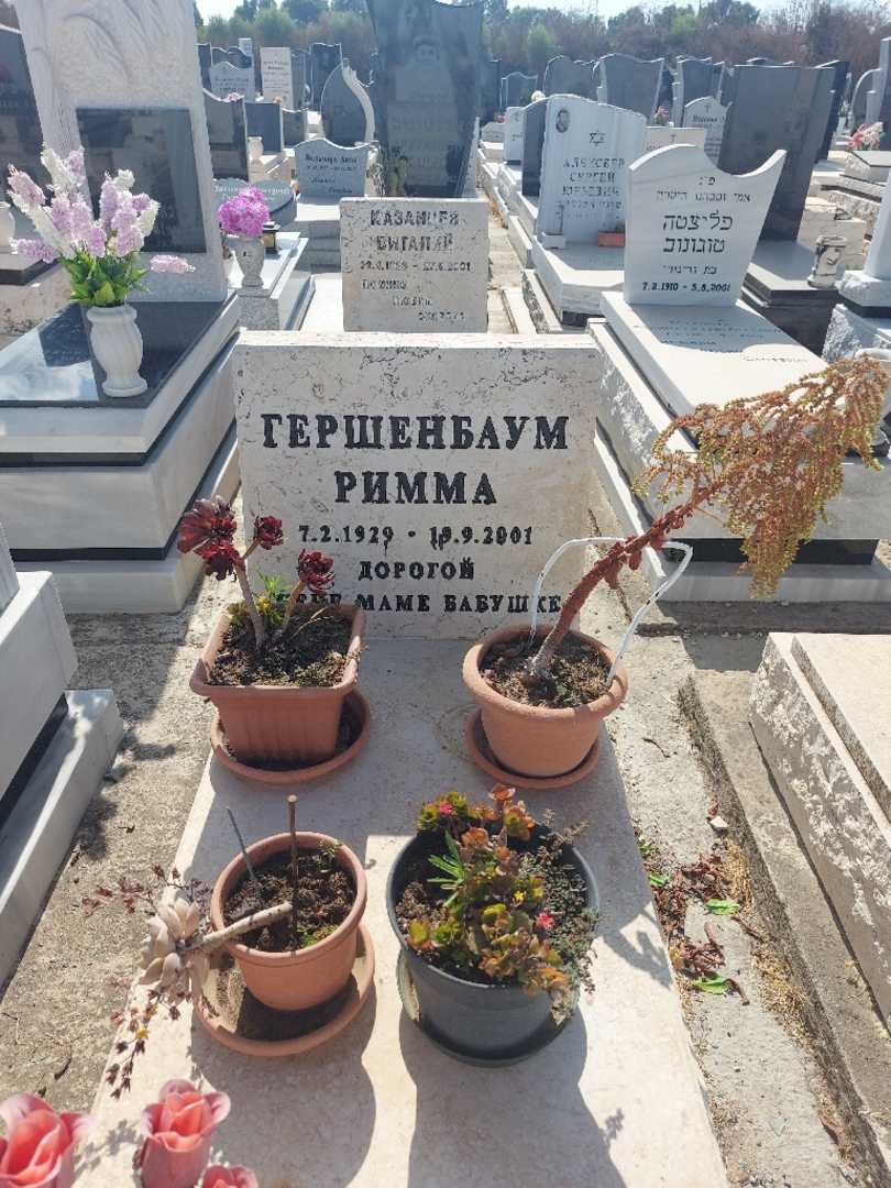 קברו של רימה גרשנבאום. תמונה 1
