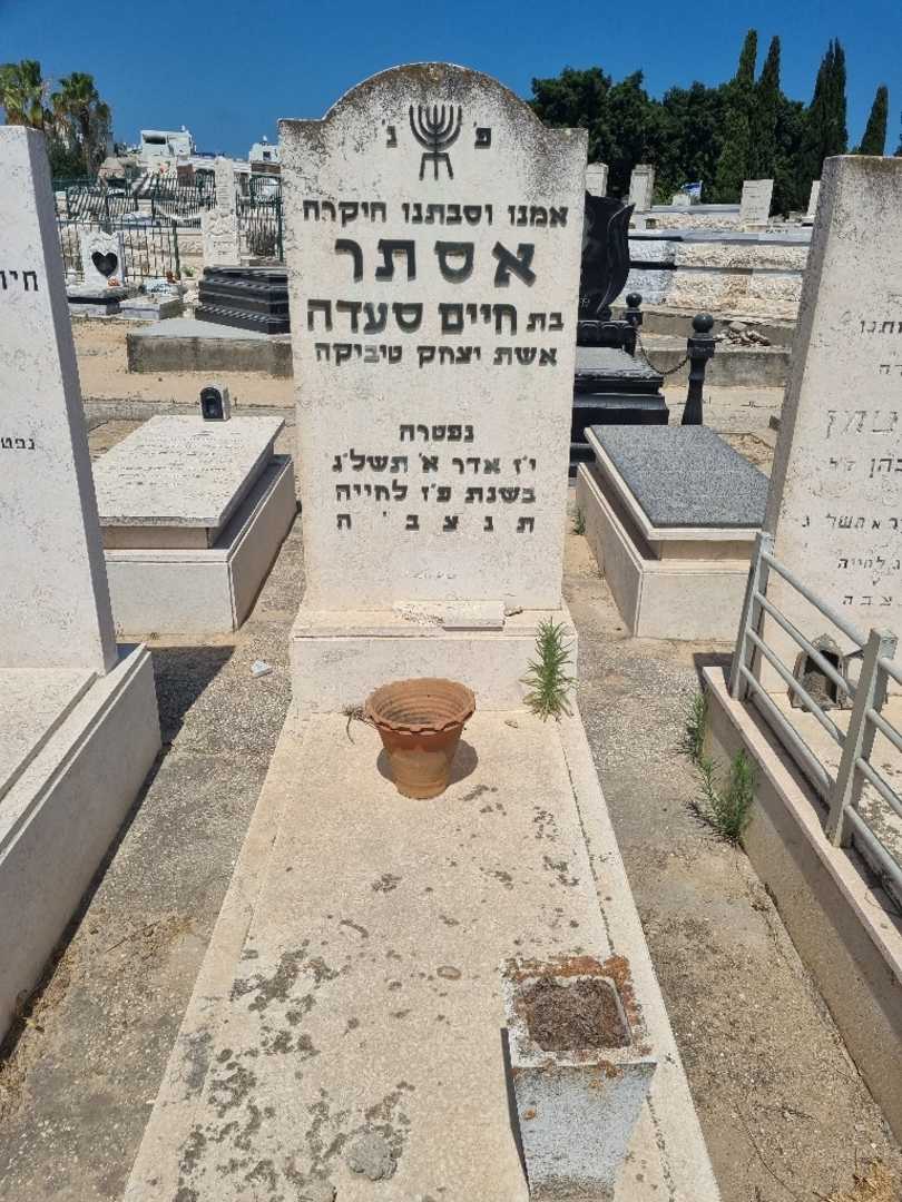 קברו של אסתר טיביקה. תמונה 1