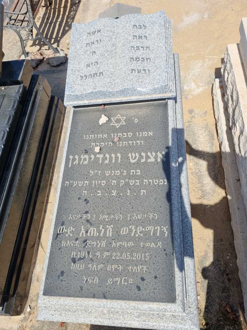 קברו של אצנש וונדימגן. תמונה 1