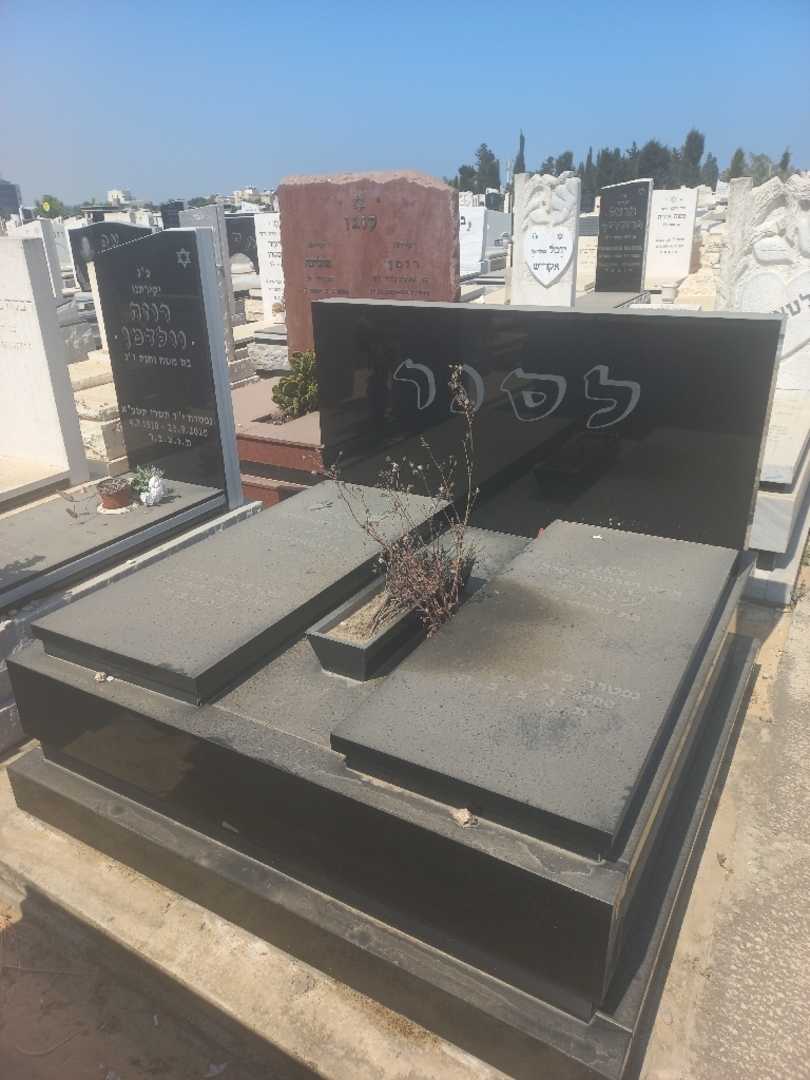 קברו של לאה לסנר. תמונה 1