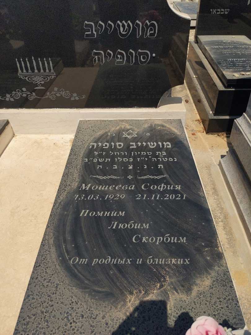 קברו של סופיה מושייב. תמונה 2
