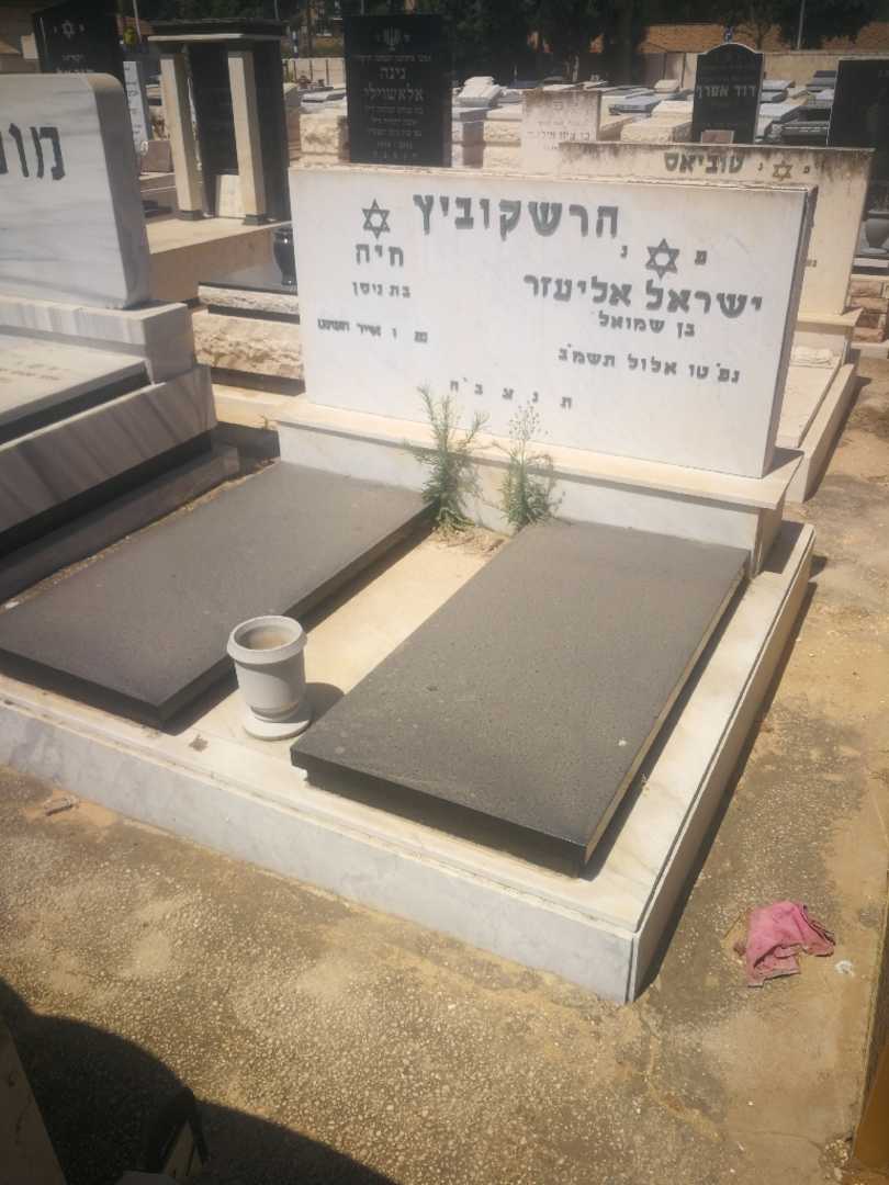 קברו של חיה הרשקוביץ. תמונה 1