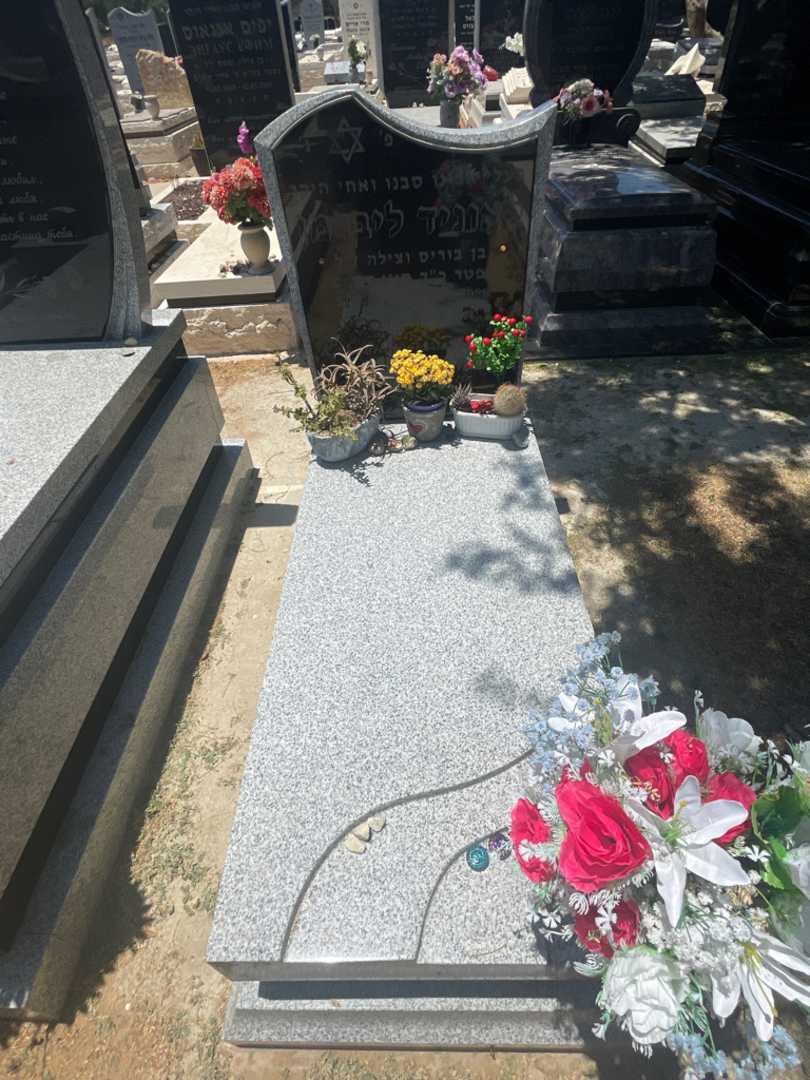 קברו של לאוניד ליברמן. תמונה 1