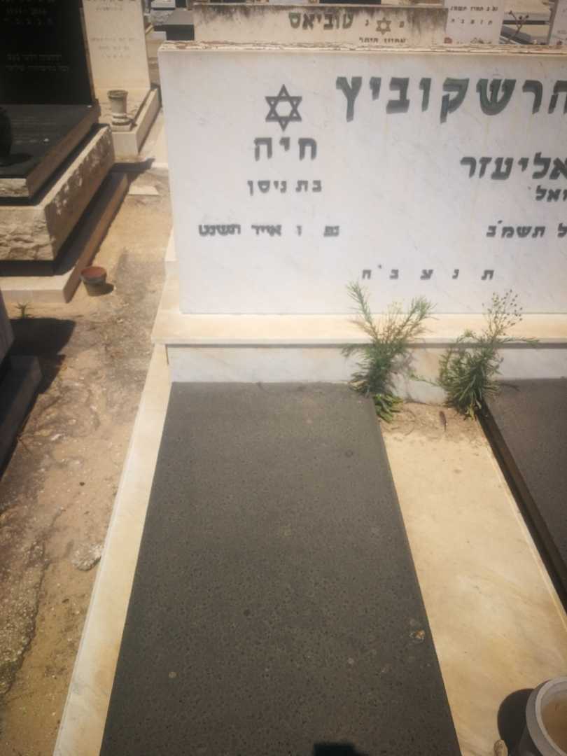 קברו של חיה הרשקוביץ. תמונה 2