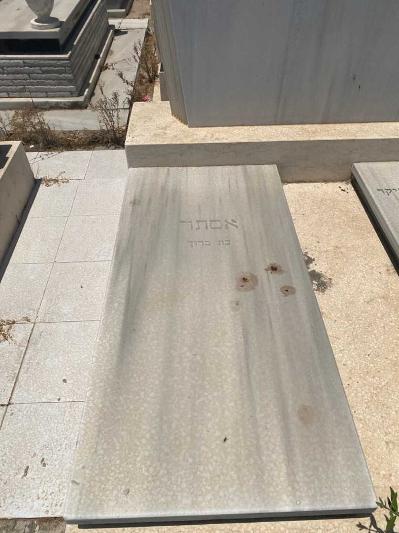 קברו של אסתר שפיקיליס. תמונה 2