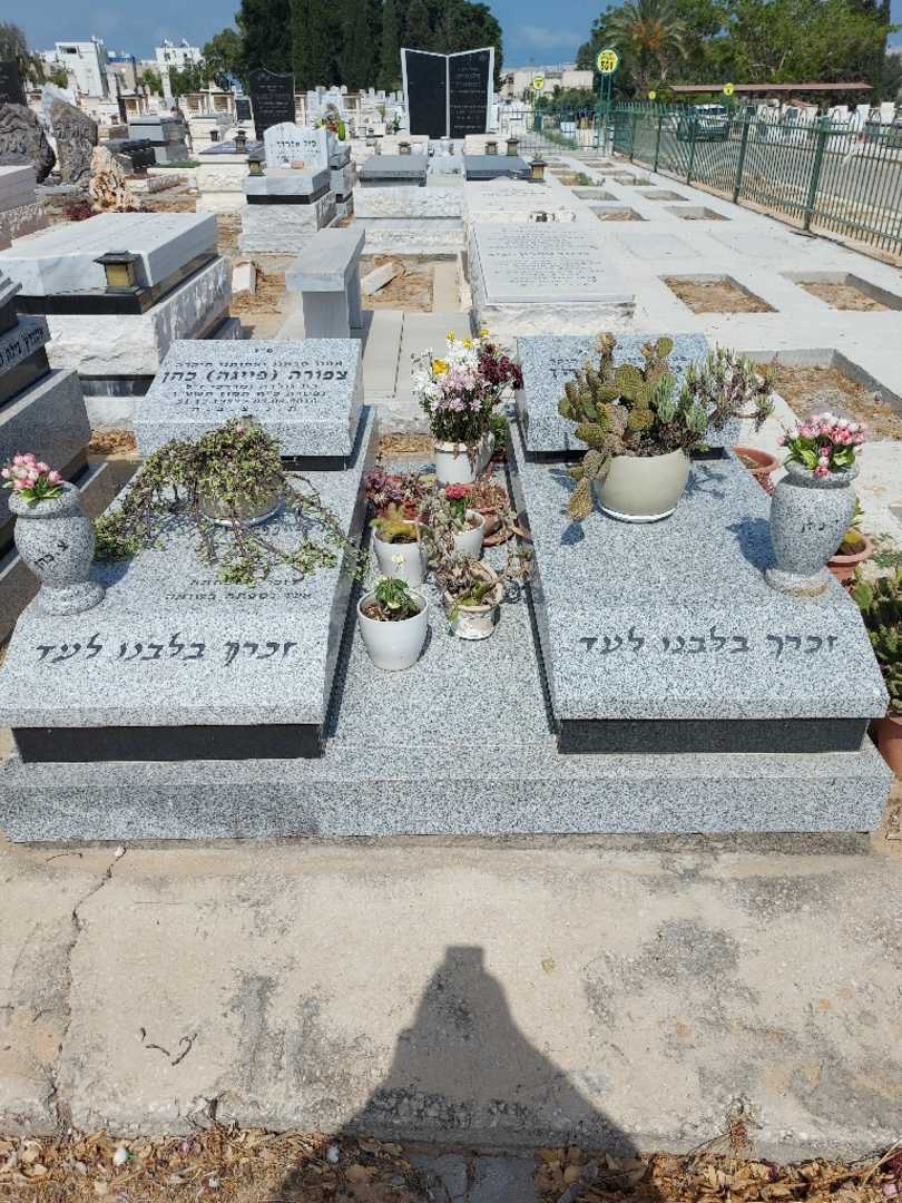קברו של ישראל כהן. תמונה 3