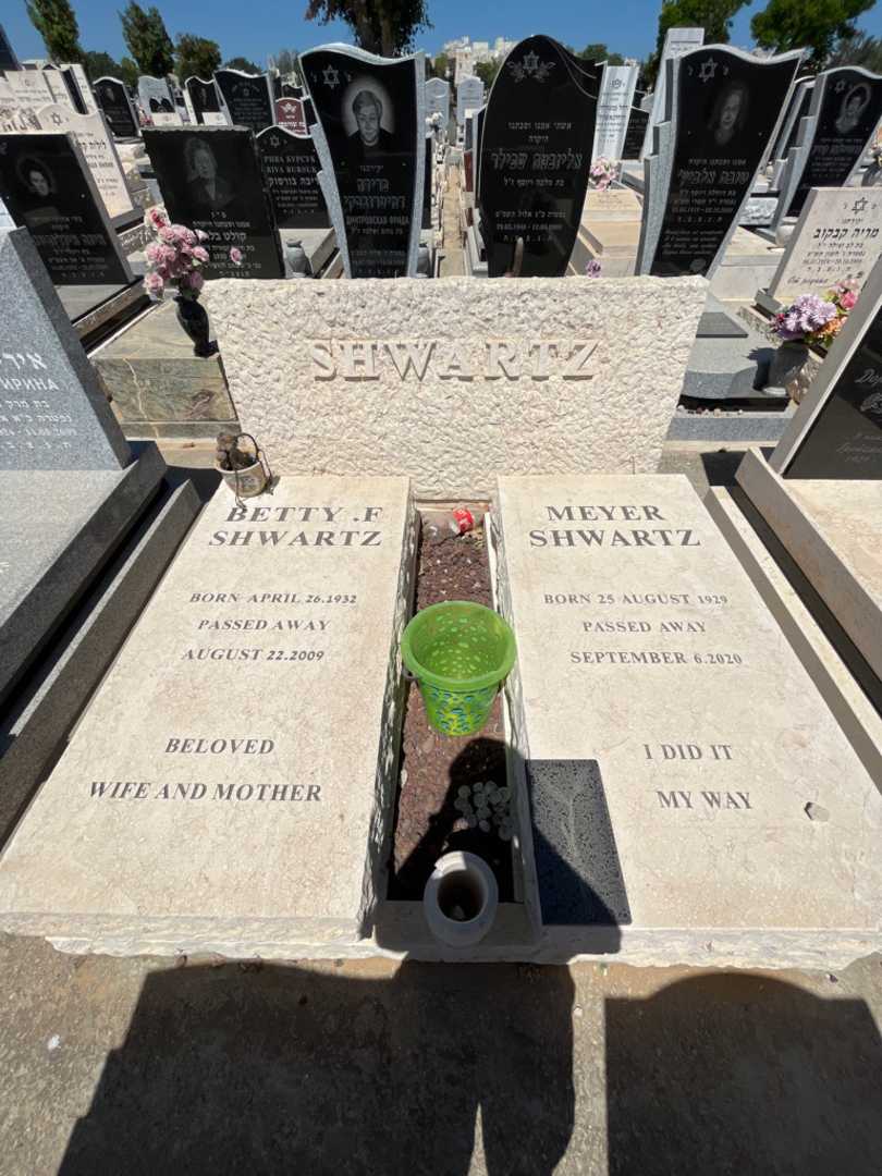 קברו של מאיר שורץ. תמונה 2