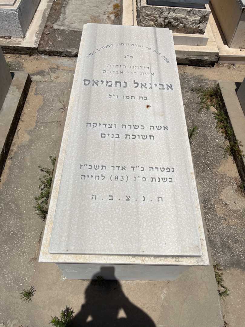 קברו של אביגאל נחמיאס )טויזר(. תמונה 1
