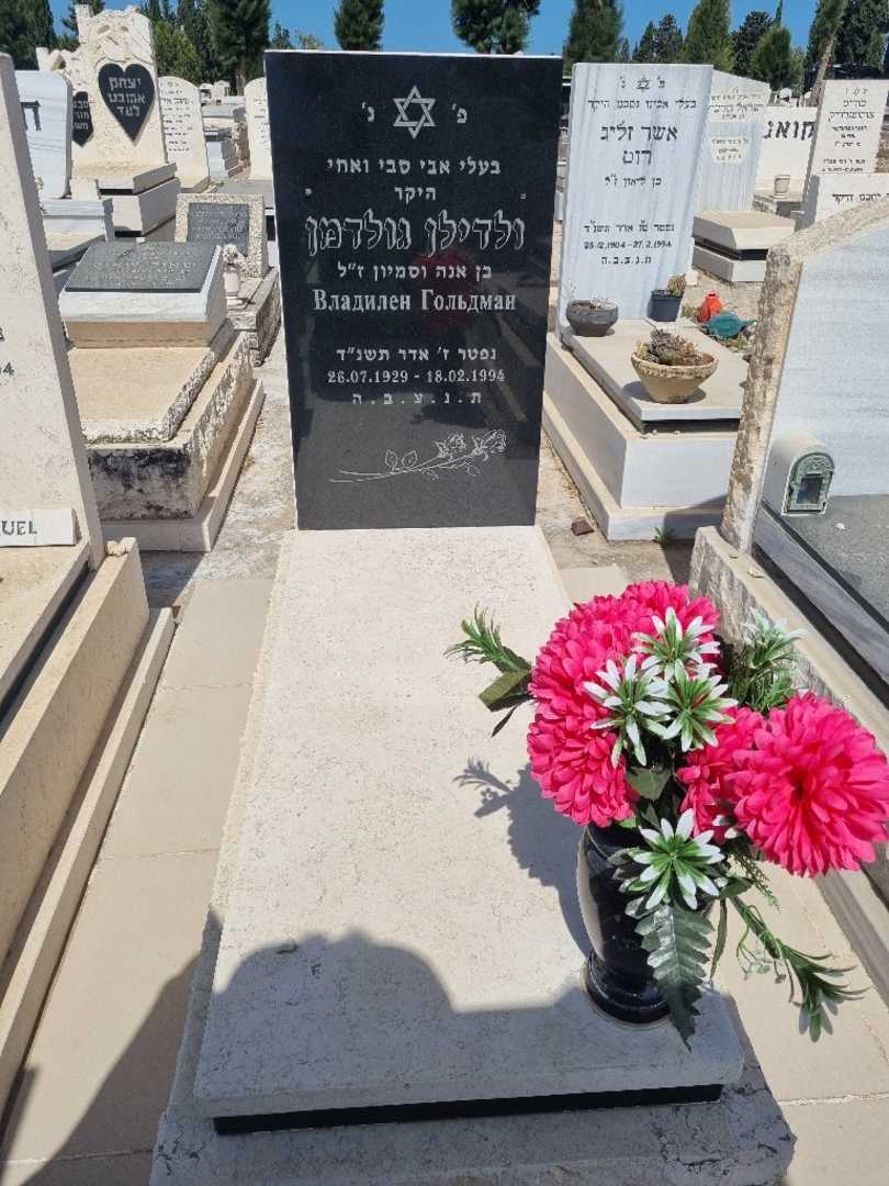 קברו של ולדלן גולדמן. תמונה 1