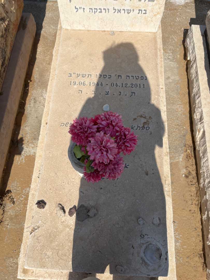 קברו של בתיה ניאמצ'ין. תמונה 2