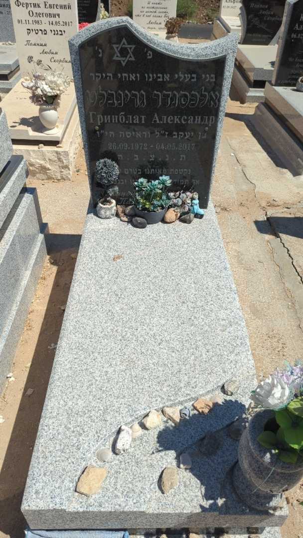 קברו של אלכסנדר גרינבלט. תמונה 2