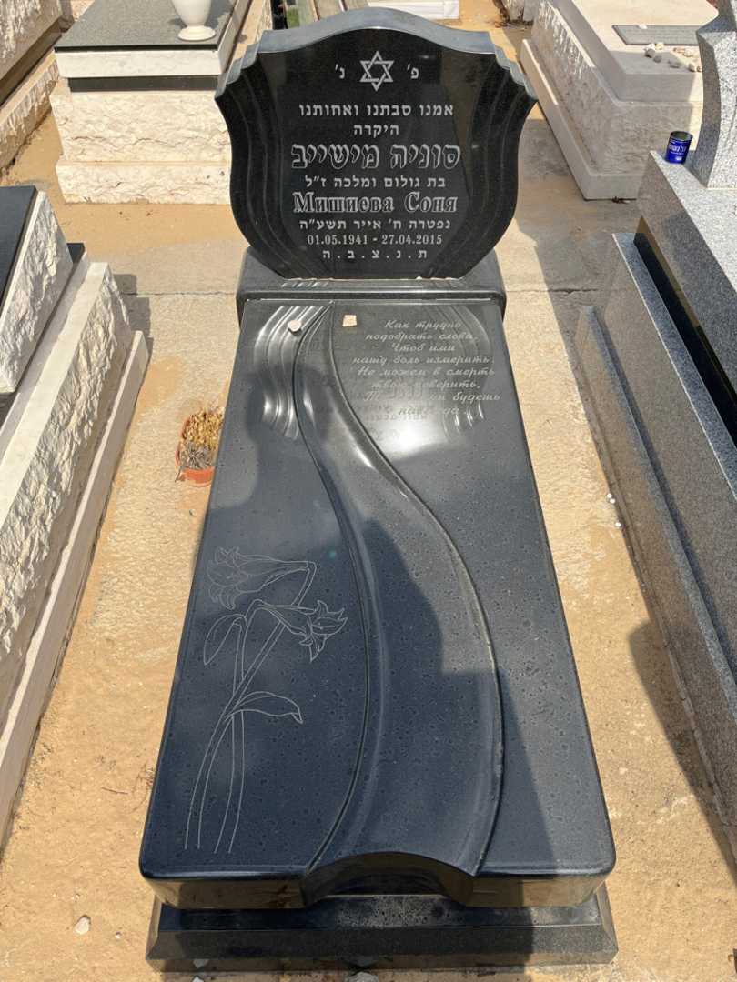 קברו של סוניה מישייב. תמונה 1