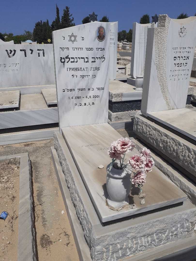 קברו של לייב גרינבלט. תמונה 1