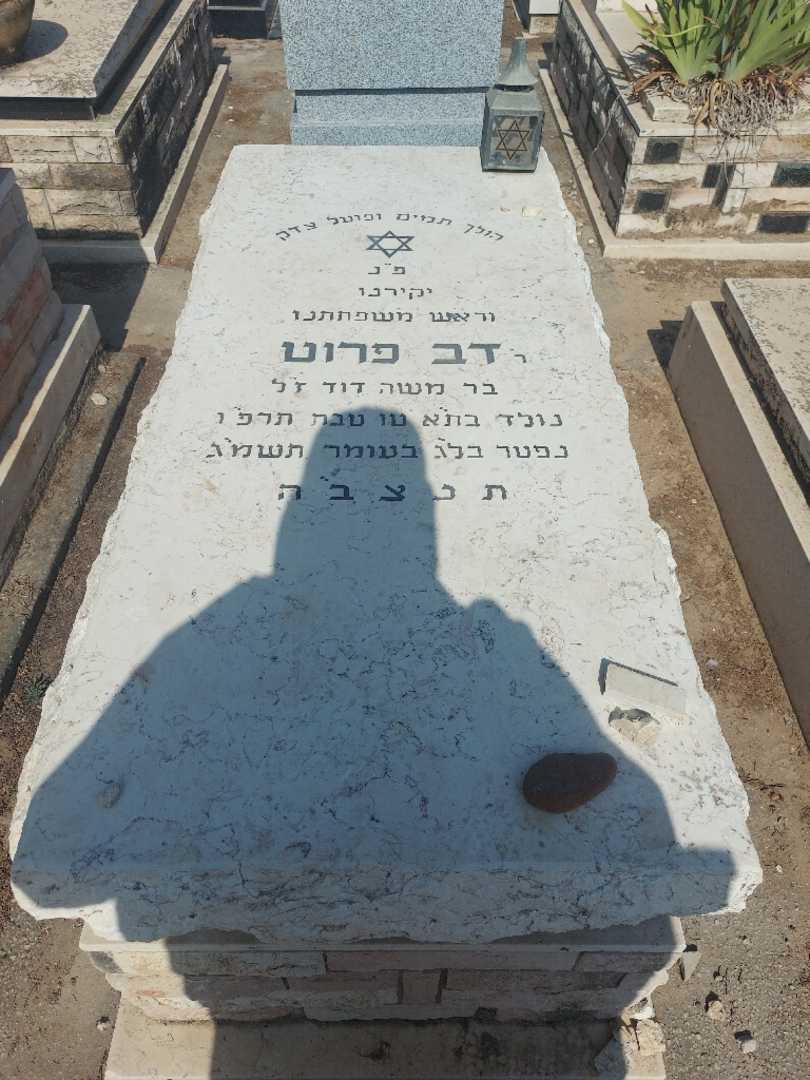 קברו של דב פרוט. תמונה 1