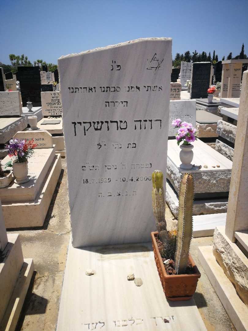 קברו של רוזה טרושקין. תמונה 1
