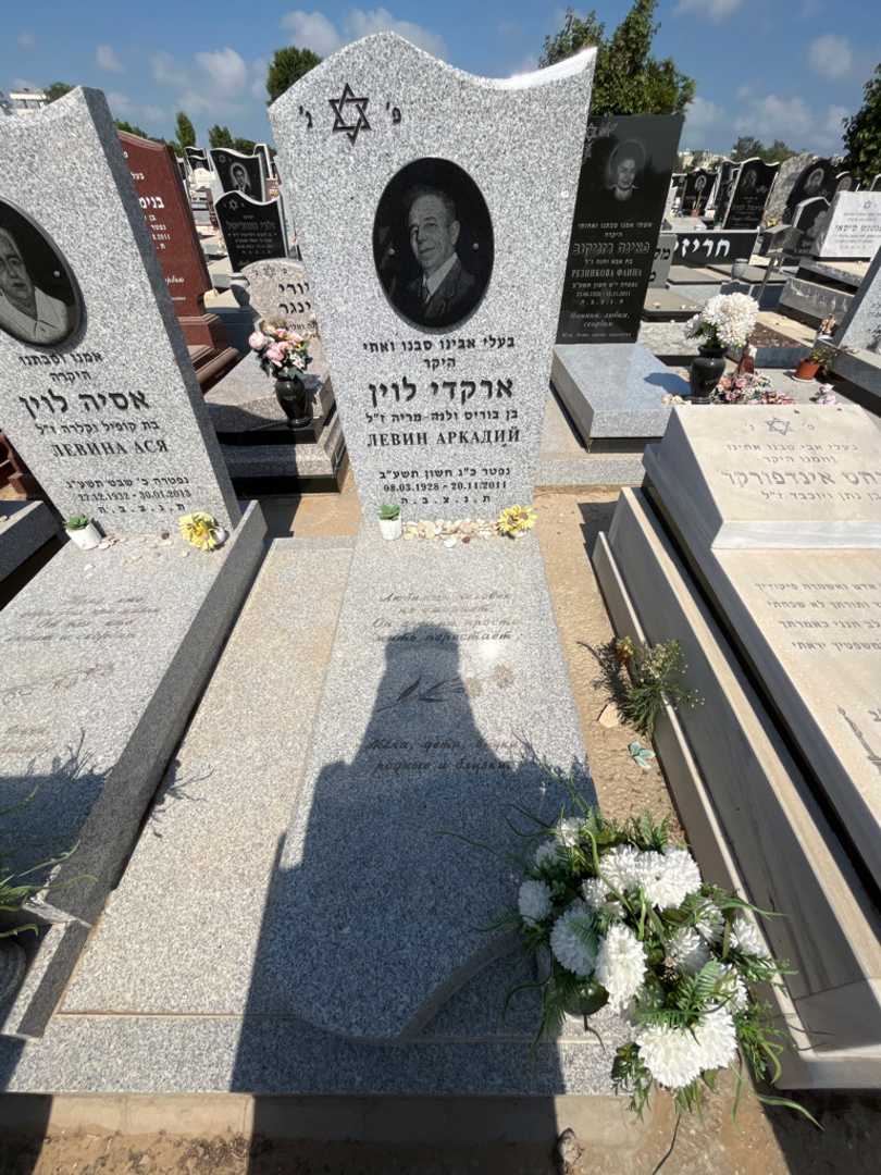 קברו של ארקדי לוין. תמונה 1