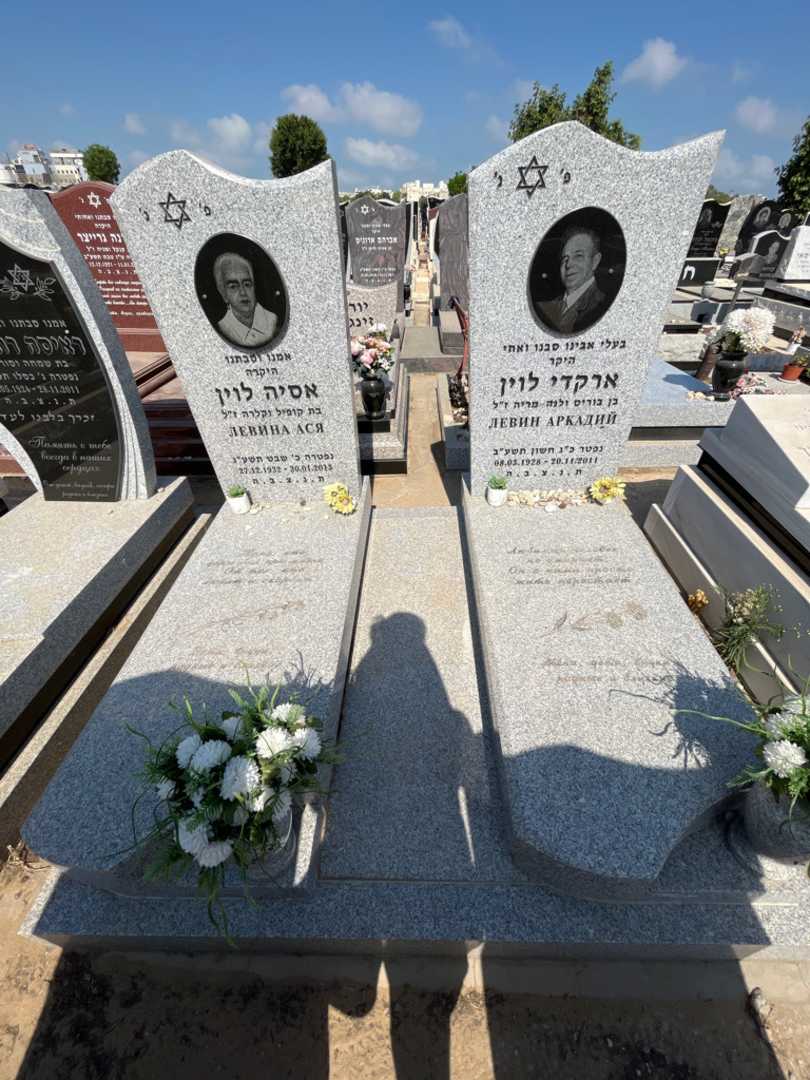 קברו של ארקדי לוין. תמונה 2