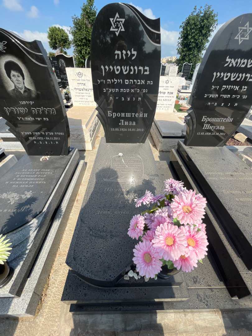 קברו של ליזה ברונשטיין. תמונה 2