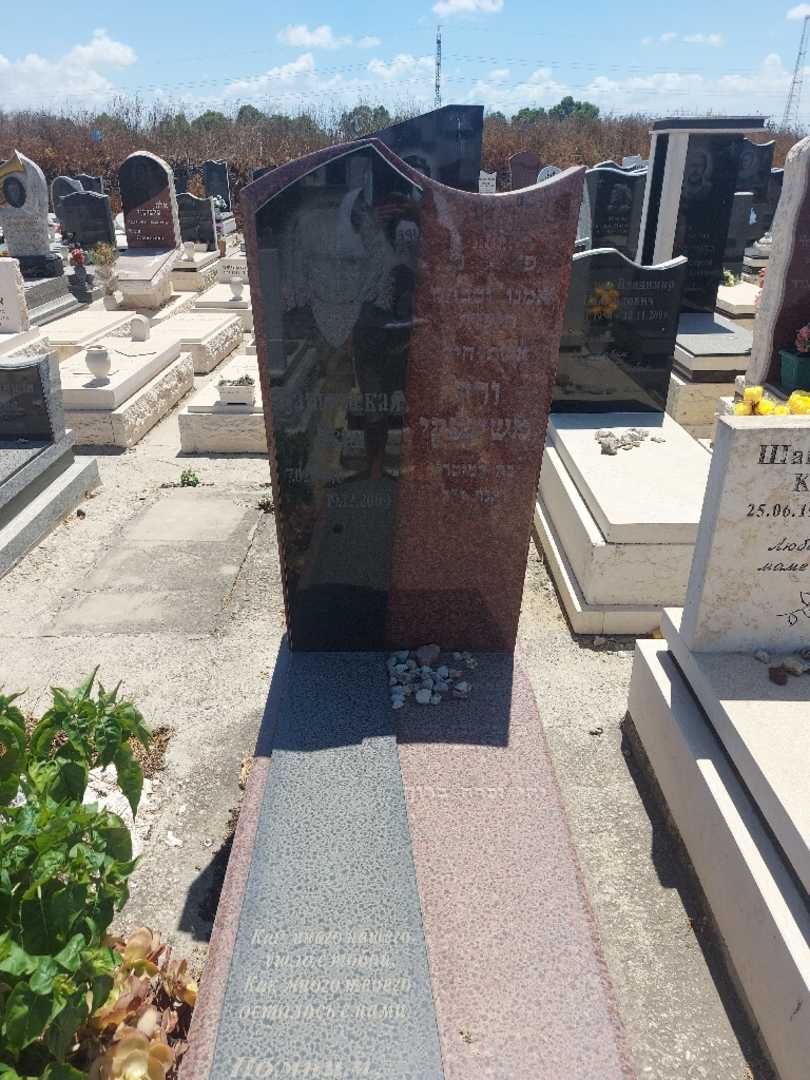 קברו של ורה משינסקי. תמונה 1