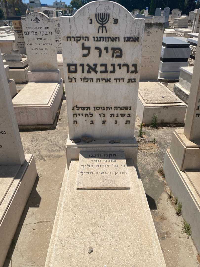 קברו של מטילדה גרינבאום. תמונה 1