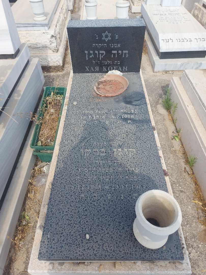 קברו של חיה קוגן. תמונה 1