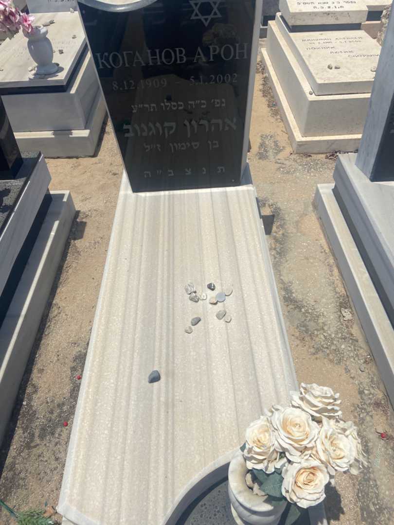 קברו של אהרון קוגנוב. תמונה 1