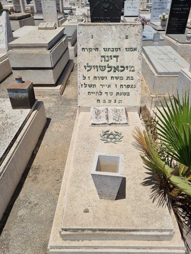קברו של נינה מיכאלשוילי. תמונה 1