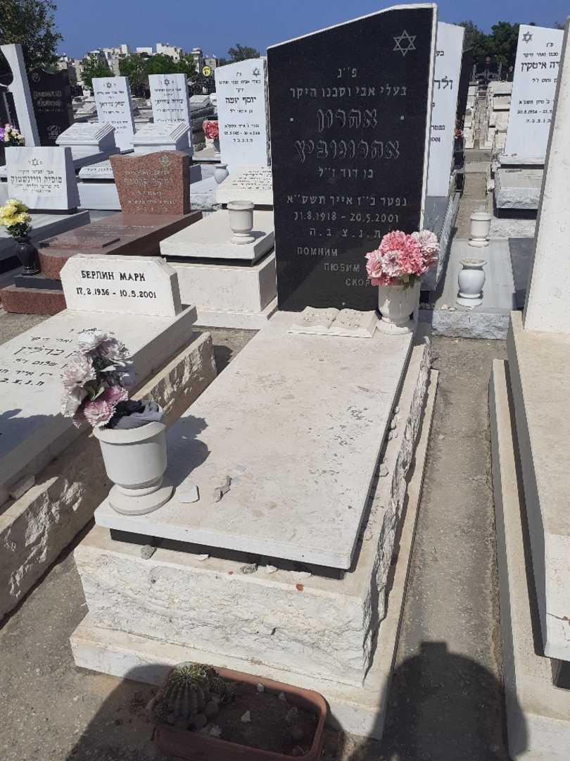 קברו של אהרון אהרונוביץ. תמונה 1