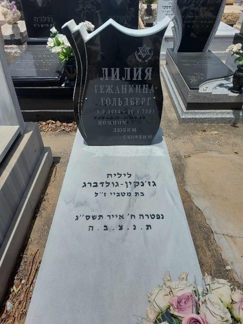 קברו של ליליה גז'נקין. תמונה 1