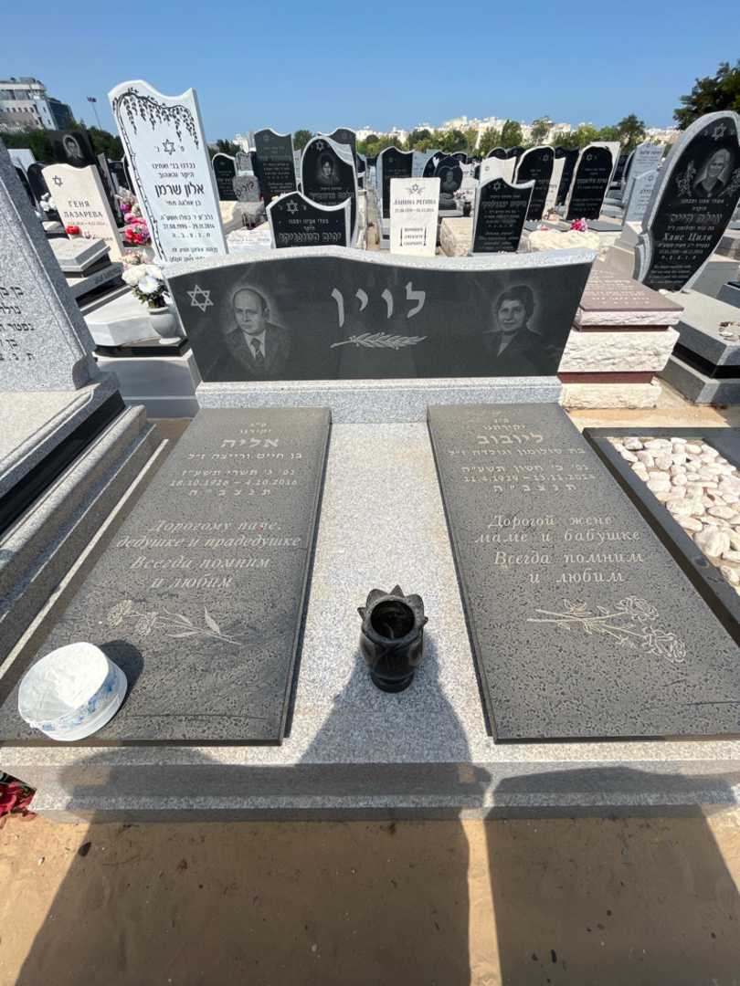 קברו של ליובוב לוין. תמונה 2