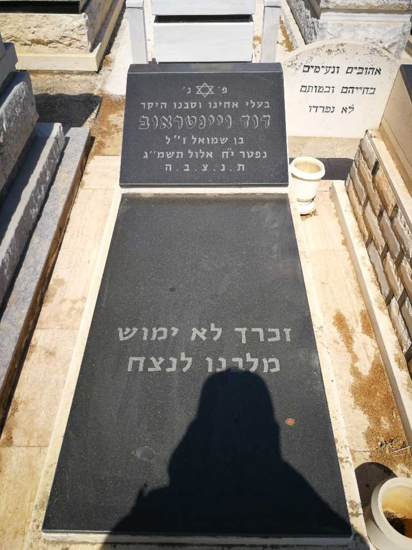 קברו של דוד ויינטראוב. תמונה 2