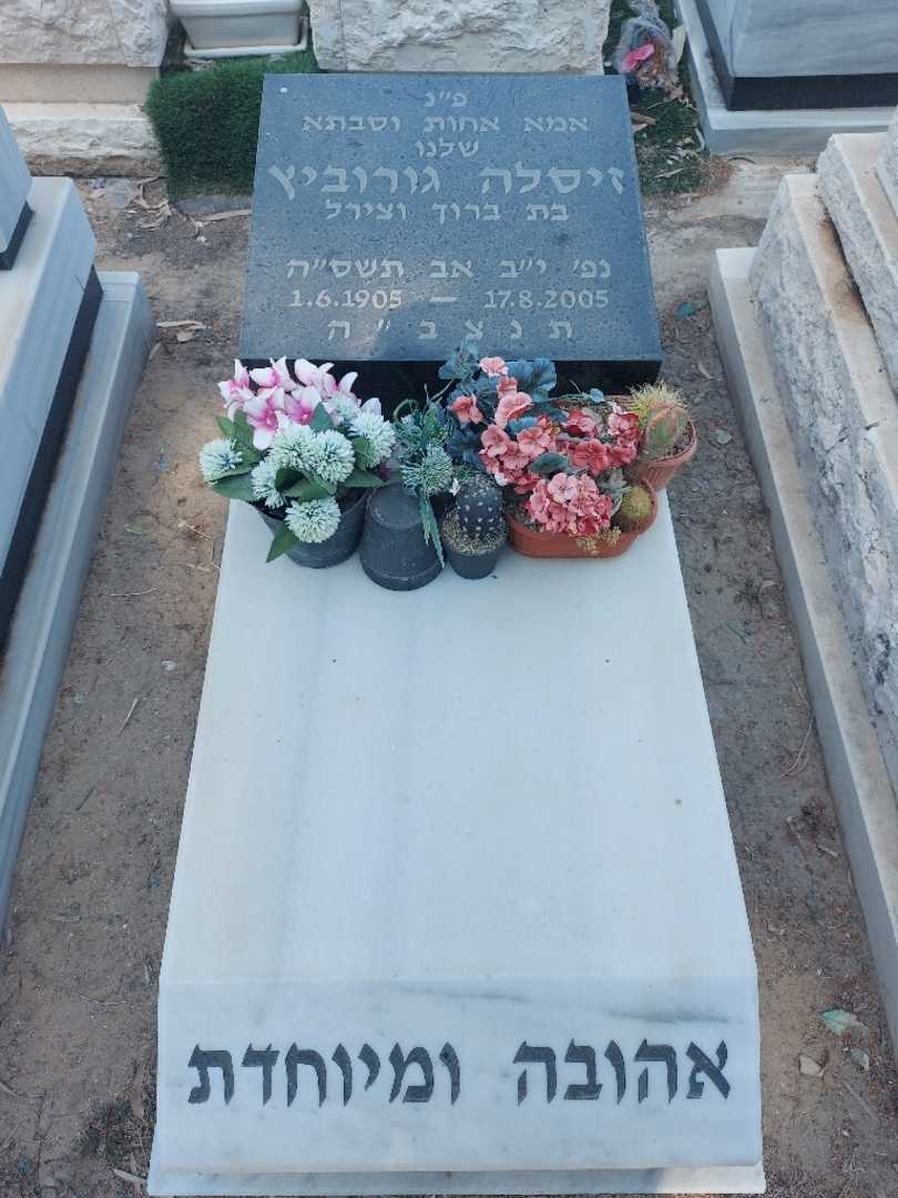 קברו של זיסלה גורוביץ. תמונה 1