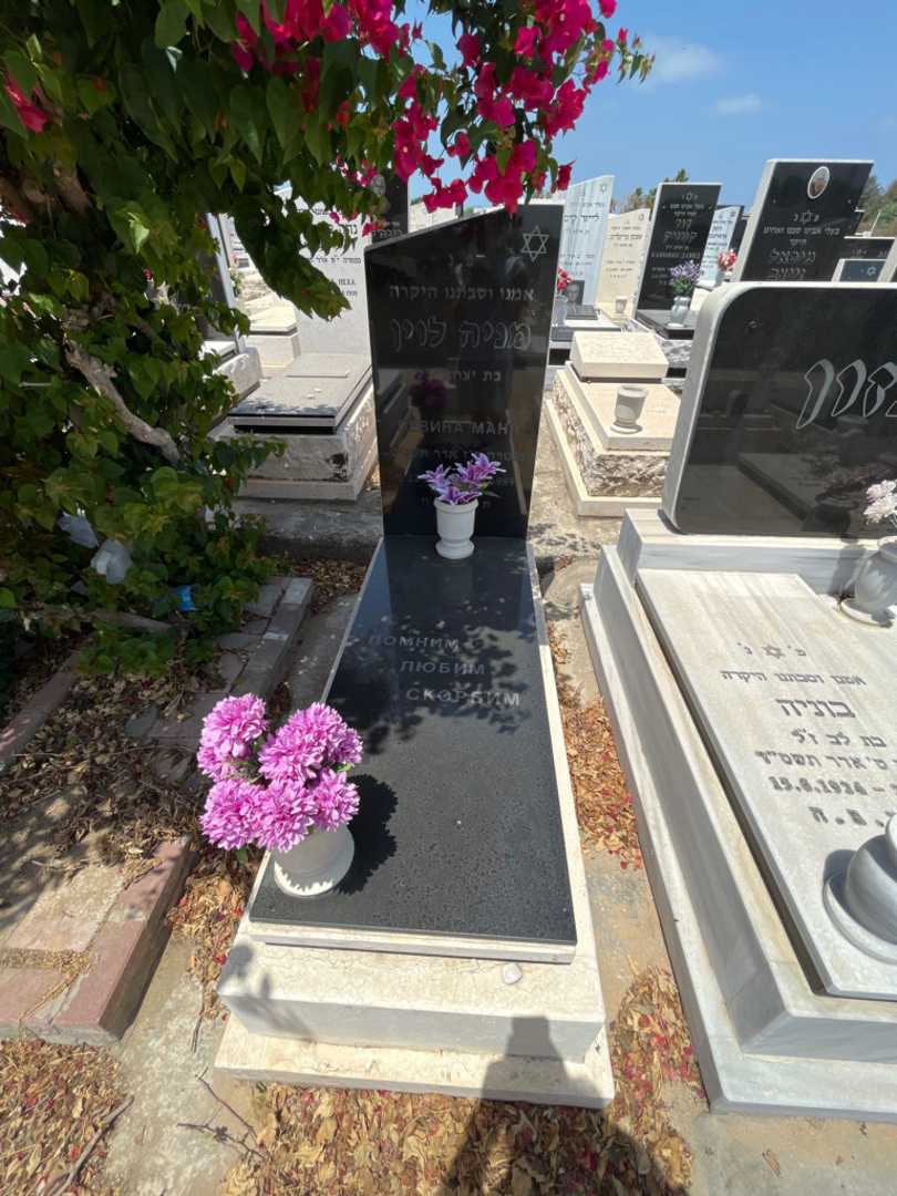 קברו של מניה מנור לוין. תמונה 1