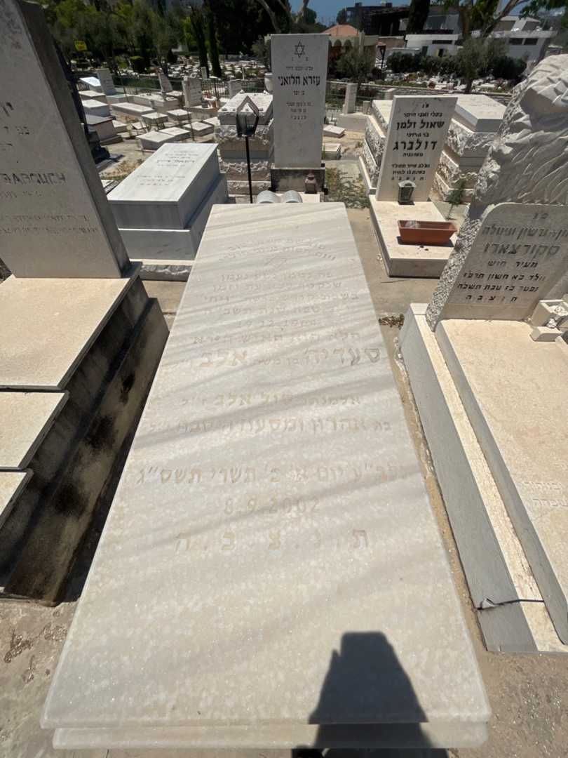 קברו של סעדיה אלב. תמונה 1