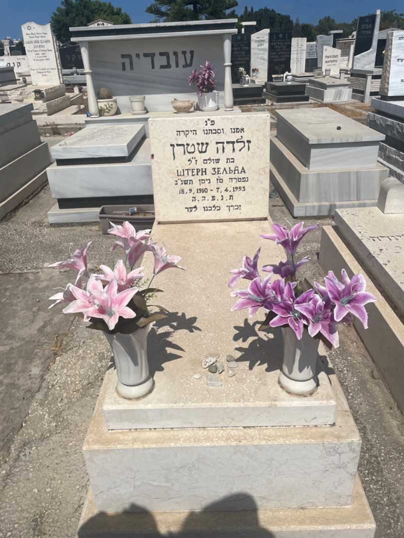 קברו של זלדה שטרן. תמונה 1