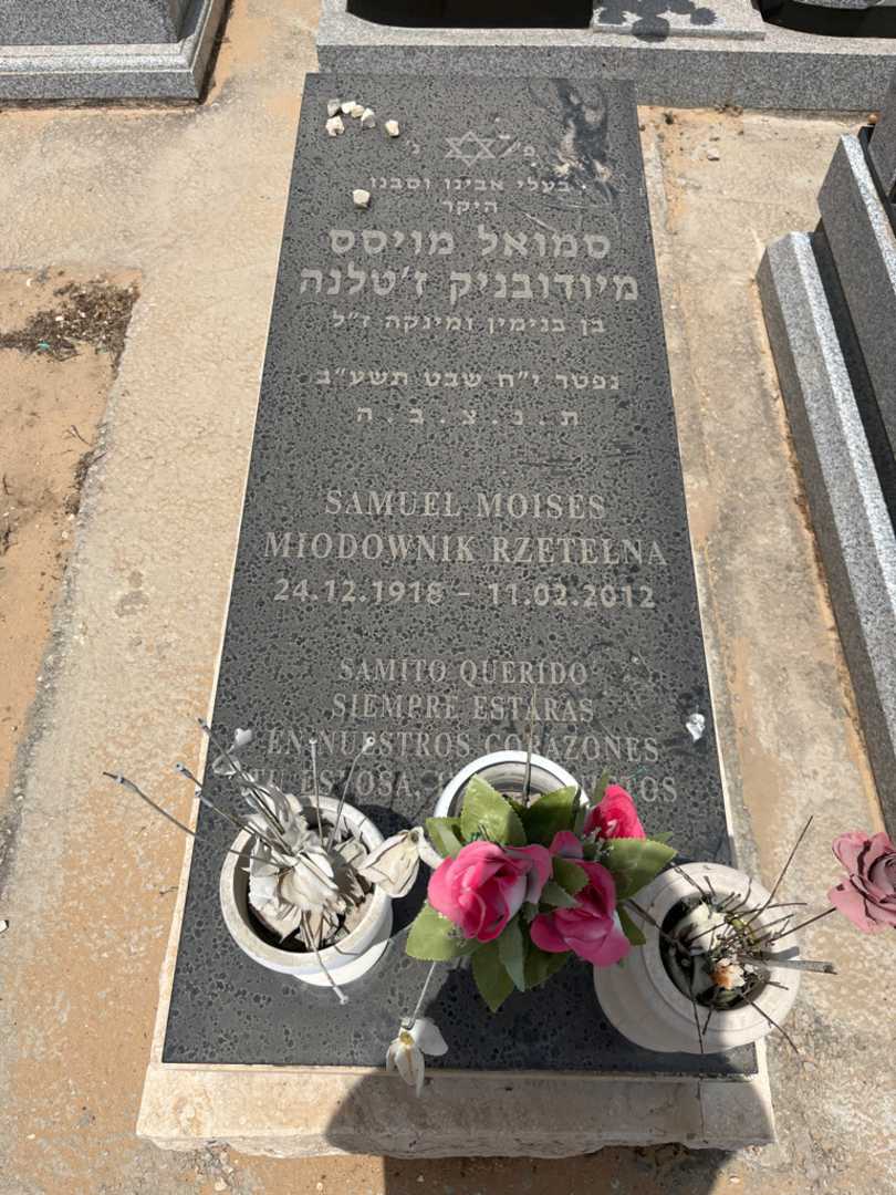 קברו של סמואל מיודובניק. תמונה 1