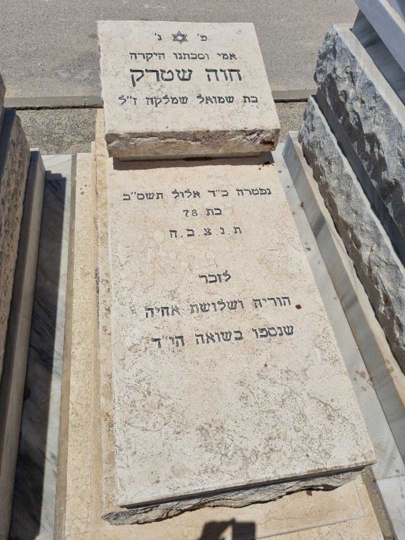 קברו של חוה שטרק. תמונה 1