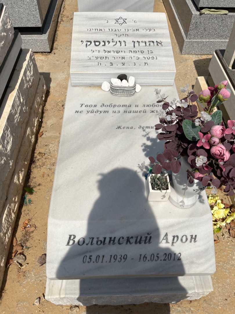 קברו של ארון וולינסקי. תמונה 1