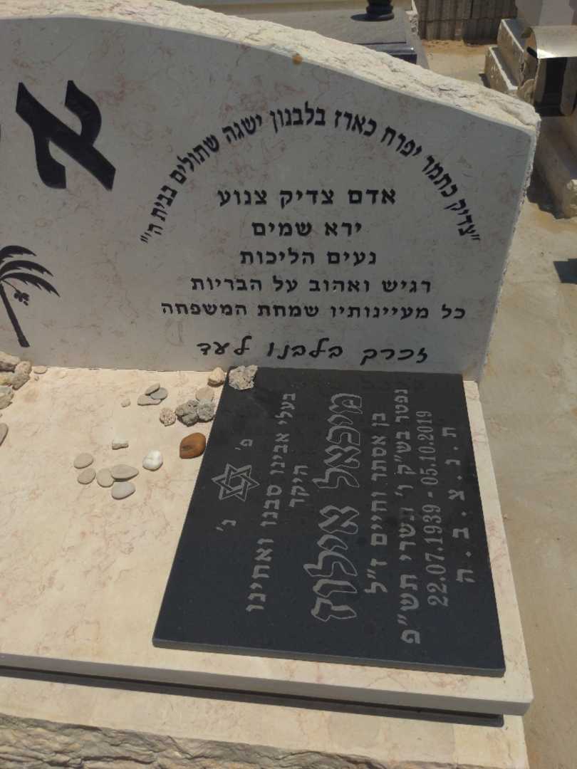 קברו של מיכאל אילוז. תמונה 2