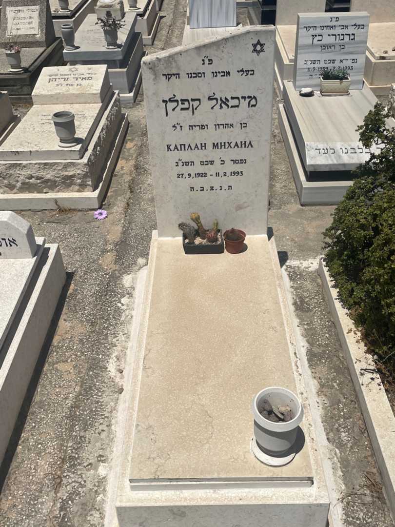 קברו של מיכאל קפלן. תמונה 1