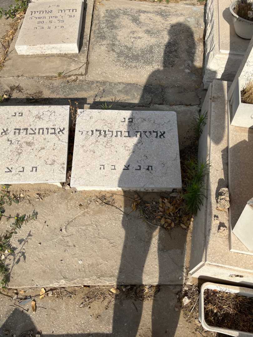 קברו של אליזה בתלודו. תמונה 1