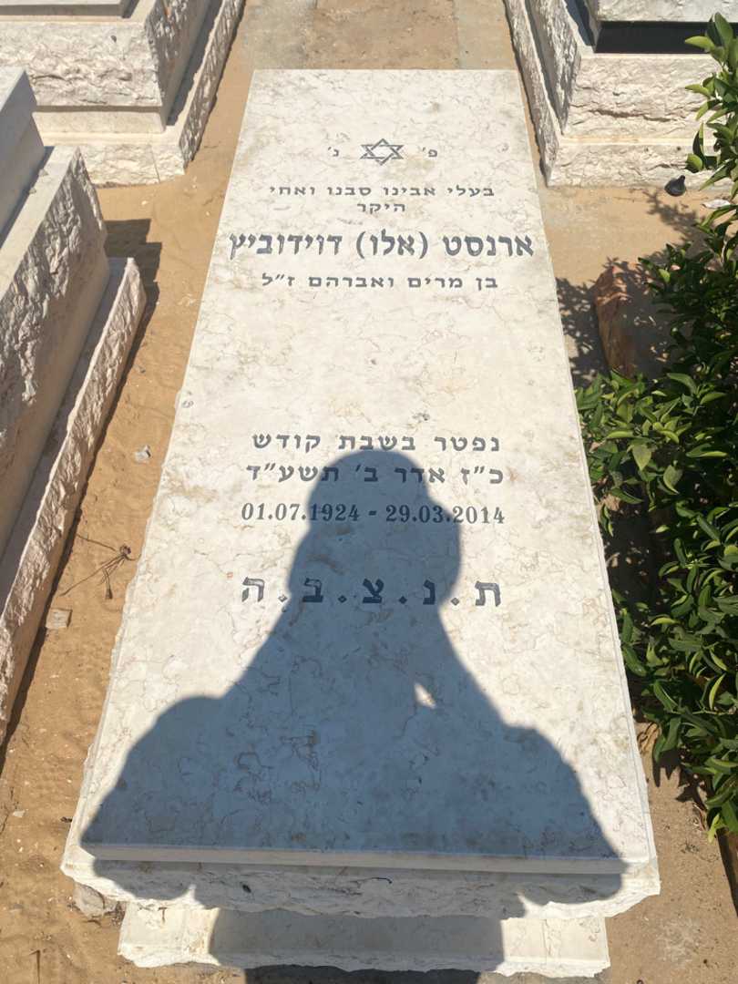 קברו של ארנסט "אלו" דוידוביץ. תמונה 1