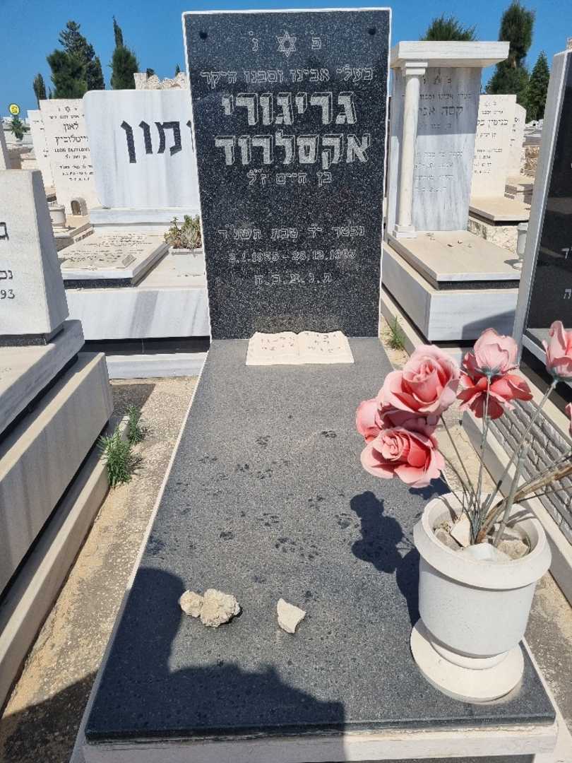 קברו של צבי אקסלרוד. תמונה 1