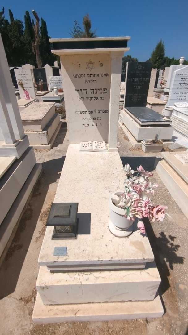 קברו של פנינה דוד. תמונה 1