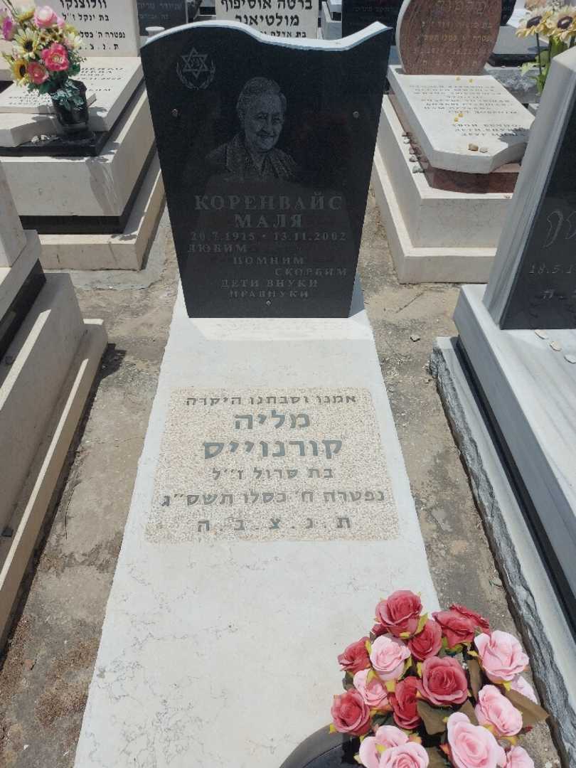 קברו של מליה קורנוייס. תמונה 1